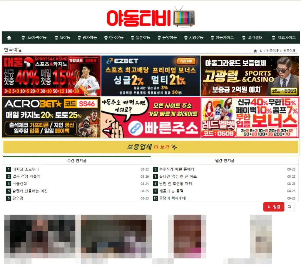 한국야동 카테고리 페이지 캡처